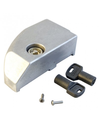 Дверца замка разблокировки BK Came 119RIBK012 в Орле Запчасти для шлагбаумов и автоматики Pintop.ru