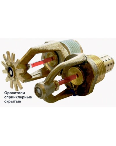 Ороситель спринклерный скрытый Спецавтоматика СВК0-РНо 0,42-R1/2/Р68.В3-SSP-К80  с резьб. герм. в Орле Оросители Pintop.ru