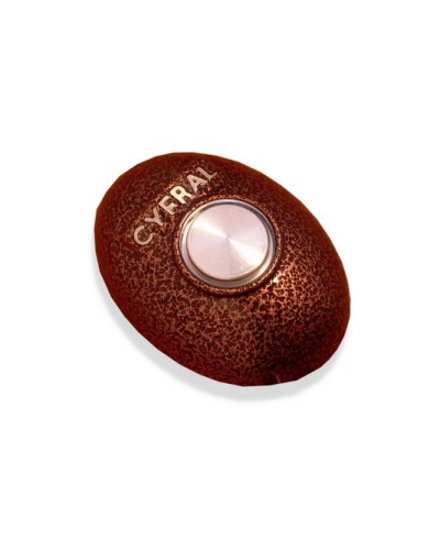 Кнопка открывания двери Цифрал КОДсП-4 в Орле Многоабонентные устройства Pintop.ru