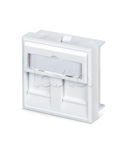 Вставка 45x45 (аналог Mosaic) для 2 модулей формата Keystone Jack Cabeus FP-45-2M в Орле Модули Keystone Pintop.ru