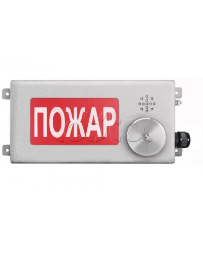 Табло светозвуковое взрывозащищенное Спектрон ТСЗВ-Exm-Н-Прометей-МИНИ 12-36В в Орле Оповещатели Ex Pintop.ru