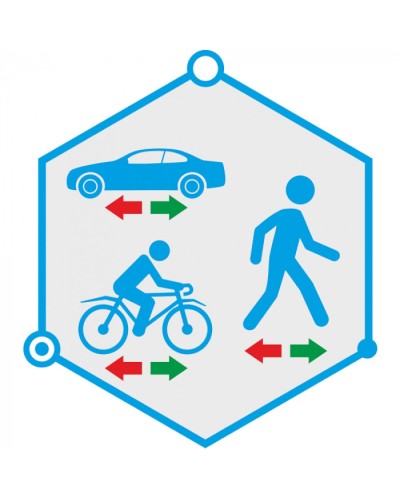 ПО детектор движения в запрещенном направлении TRASSIR Direction Detector в Орле Системы видеонаблюдения Pintop.ru