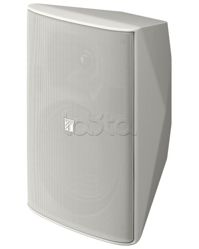 Громкоговоритель 2 полосный TOA F-2000 WT в Орле Системы оповещения и трансляции TOA Pintop.ru