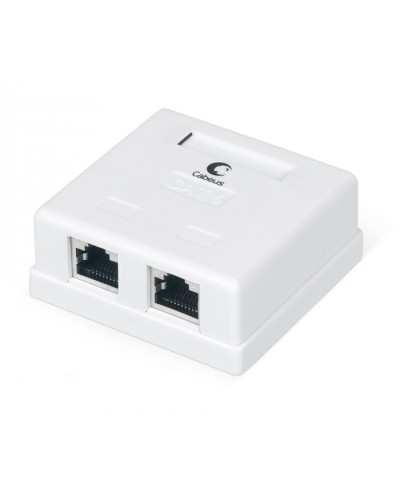 Розетка компьютерная RJ-45(8P8C), категория 6, экранированная, двойная, внешняя, Krone type Cabeus WS-8P8C-Cat.6-SH-2 в Орле Розетки компьютерные и телефонные Pintop.ru