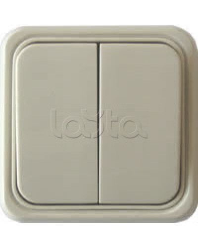 Выключатель двухклавишный открытой установки Экопласт, схема 5, (бежевый) в Орле Розетки компьютерные и телефонные Pintop.ru