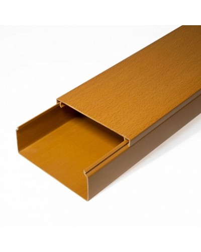 Кабель-канал бук 2-й замок в п/э 100х40 (8 м/уп) Промрукав (PR03.0206) в Орле Огнестойкие кабельные линии Pintop.ru