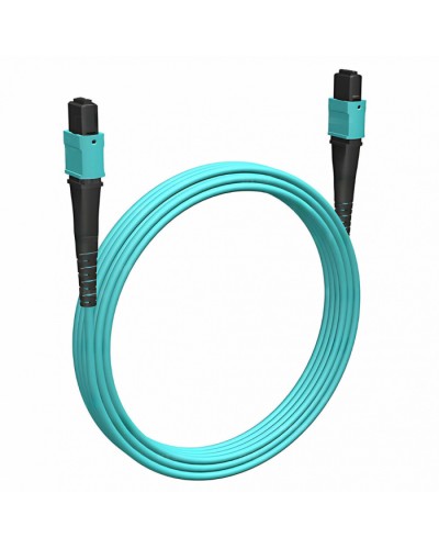 Кабельная сборка MPO(F) -MPO(F)-12 волокон 50/125 OM3, 10 m Cabeus (FOP-50-OM3-12-MPO(F)-12-MPO(F)-B-10m) в Орле Кабельные сборки (оптические) Pintop.ru