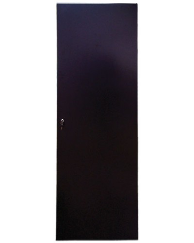 Дверь задняя для шкафов серии Business металл, 42U, ширина 600 мм TWT TWT-CBB-DRM1-42U-6 в Орле Аксессуары для стоек и шкафов Pintop.ru