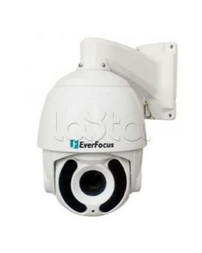 Камера видеонаблюдения поворотная купольная EverFocus EPA-6236 в Орле Аналоговые камеры Pintop.ru