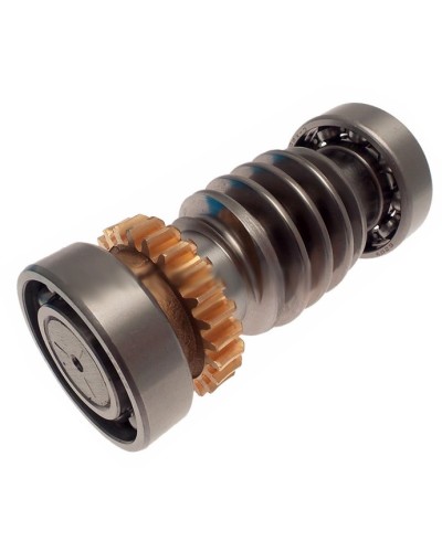 Червяк FROG Came 119RIA016 в Орле Запчасти для шлагбаумов и автоматики Pintop.ru