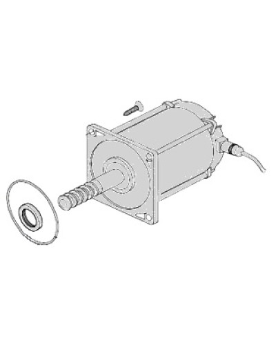 Электродвигатель Came 119RIA025 в Орле Запчасти для шлагбаумов и автоматики Pintop.ru