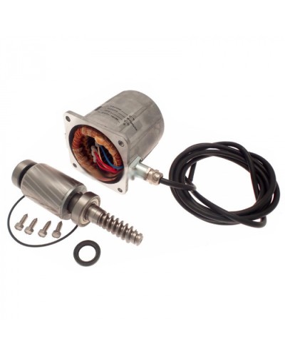 Электродвигатель FROG-A в сборе Came 119RIA061 в Орле Запчасти для шлагбаумов и автоматики Pintop.ru