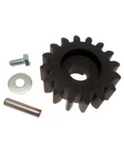 Шестерня для цепной передачи Came 119RIBK036 в Орле Запчасти для шлагбаумов и автоматики Pintop.ru