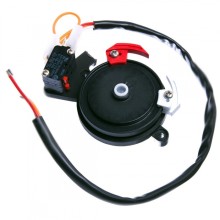 Концевые микровыключатели в сборе BX-243 Came 119RIBX041