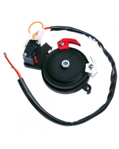 Концевые микровыключатели в сборе BX-243 Came 119RIBX041 в Орле Запчасти для шлагбаумов и автоматики Pintop.ru