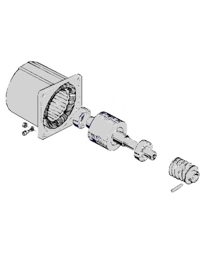 Электродвигатель С-100 Came 119RIC052 в Орле Запчасти для шлагбаумов и автоматики Pintop.ru