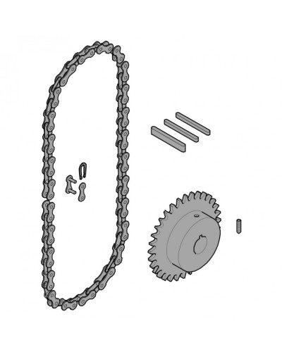 Передающая система (цепь и звездочки) C005 Came 119RICX016 в Орле Запчасти для шлагбаумов и автоматики Pintop.ru