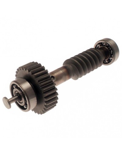 Червяк редуктора FAST в сборе Came 119RID228 в Орле Запчасти для шлагбаумов и автоматики Pintop.ru