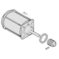 Электродвигатель G12000 в сборе Came 119RIG101