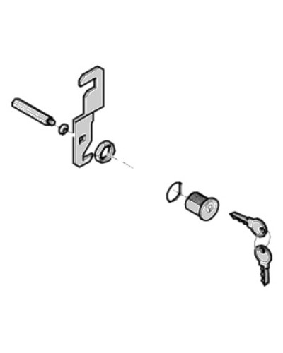 Замок дверцы G4040 G4041 Came 119RIG176 в Орле Запчасти для шлагбаумов и автоматики Pintop.ru