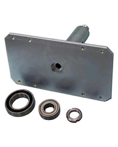 Электромагнит с механизмом разблокировки Came 119RIH022 в Орле Запчасти для шлагбаумов и автоматики Pintop.ru