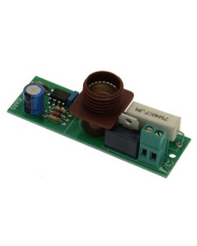 Плата лампы KIARO 24 Came 119RIR030 в Орле Запчасти для шлагбаумов и автоматики Pintop.ru