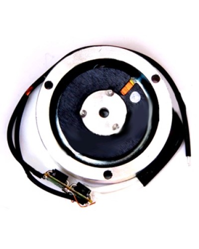 Электромагнит BY1500T Came 119RIY034 в Орле Запчасти для шлагбаумов и автоматики Pintop.ru