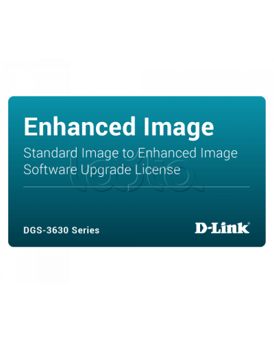 ПО D-Link DGS-3630-28PC-SE-LIC в Орле Беспроводное оборудование Pintop.ru