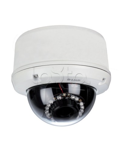 IP-камера видеонаблюдения уличная купольная D-Link DCS-6510/EP в Орле IP-камеры Pintop.ru