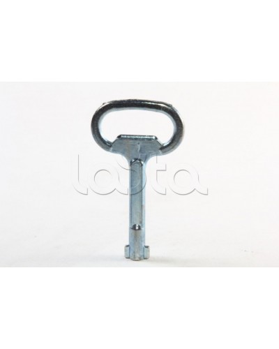 Металлический ключ с двойной бородкой 3мм DKC R5CE230 в Орле Крепежные изделия Pintop.ru