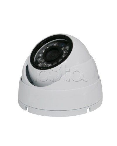 Камера видеонаблюдения купольная EverFocus ACE-IAB20XHD в Орле Аналоговые камеры Pintop.ru