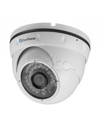 IP-камера видеонаблюдения купольная EverFocus ACE-IAV30 в Орле IP-камеры Pintop.ru