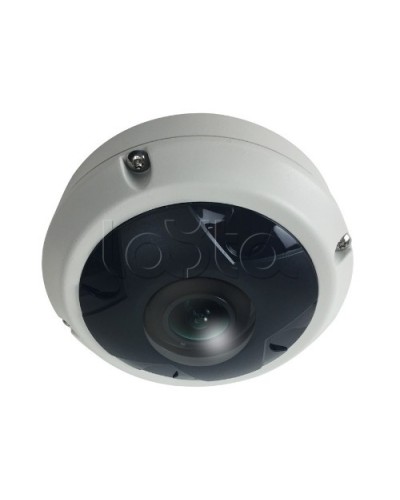 IP-камера видеонаблюдения купольная EverFocus ACE-KU89F в Орле IP-камеры Pintop.ru