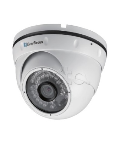 IP-камера видеонаблюдения уличная купольная EverFocus EBN-268 в Орле IP-камеры Pintop.ru