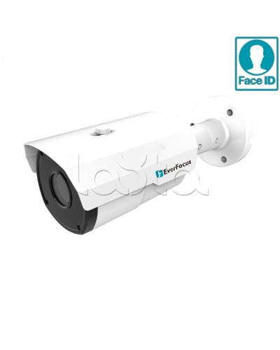 IP-камера видеонаблюдения в стандартном исполнении EverFocus EZN-2850 в Орле IP-камеры Pintop.ru