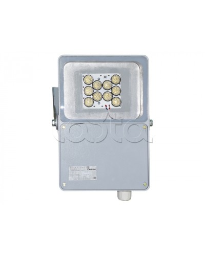 Прожектор светодиодный Forteza ФОСФОР-40/20-А (металл) в Орле Аксессуары для средств охраны периметра Pintop.ru