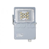 Прожектор светодиодный Forteza ФОСФОР-40/60-А (металл)