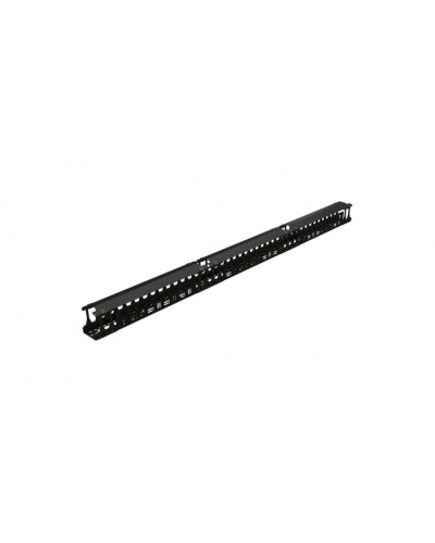 Организатор Hyperline CMF-R42U-F106-СS-RAL9005 в Орле Кабельные органайзеры Pintop.ru