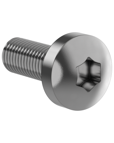 Винт М6х16 IEK (FO-00D-VTORX-M6X16-020) в Орле Аксессуары для стоек и шкафов Pintop.ru