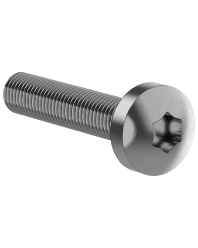 Винт М6х30 IEK (FO-00D-VTORX-M6X30-020) в Орле Аксессуары для стоек и шкафов Pintop.ru