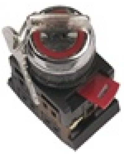 Переключатель AKS-22 с ключом на 2 фиксир.положения I-O 1з+1р черный IEK BSW10-AKS-2-K02 в Орле Аксессуары для стоек и шкафов Pintop.ru