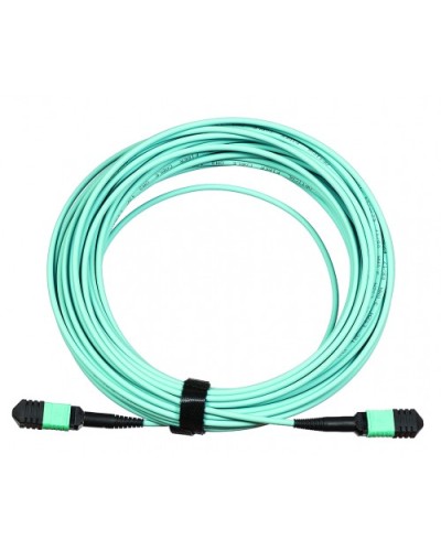 Сборка кабельная LANMASTER (LAN-12M-12M/OM3B-1.0) в Орле Коннекторы Pintop.ru