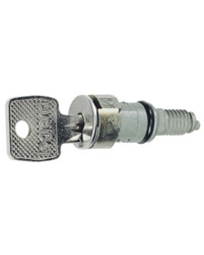 Вставка замка с ключами № 405 Legrand 036822 в Орле Полки для шкафов и стоек Pintop.ru
