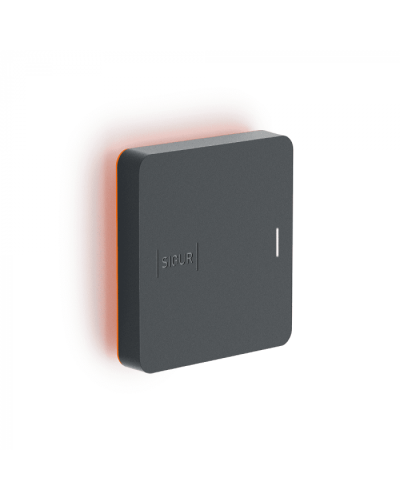 Считыватель SIGUR MR1 BLE в Орле Считыватели Pintop.ru