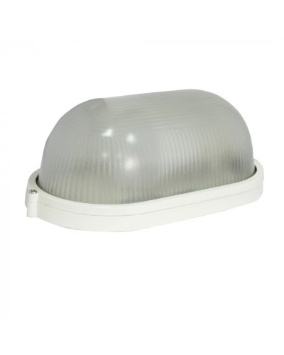 Светильник Бастион Skat LED-220 E27 IP54 в Орле Светильники Pintop.ru