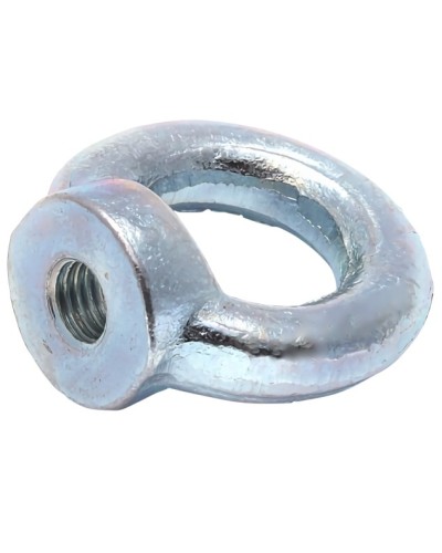 Рым-гайка М12 DIN 582 (20 шт/уп) Промрукав (PR08.3906) в Орле Крепеж Pintop.ru