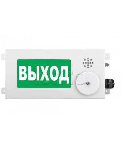 Табло световое взрывозащищенное Спектрон ТСВ-Exi-М-Прометей-МИНИ 12-36В в Орле Оповещатели Ex Pintop.ru