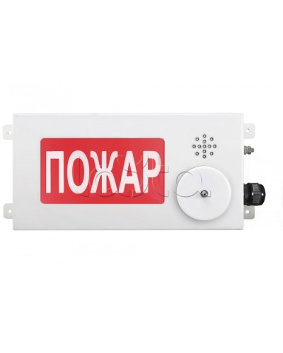 Табло светозвуковое взрывозащищенное Спектрон ТСЗВ-Exi-М-Прометей-МИНИ 12-36В в Орле Оповещатели Ex Pintop.ru