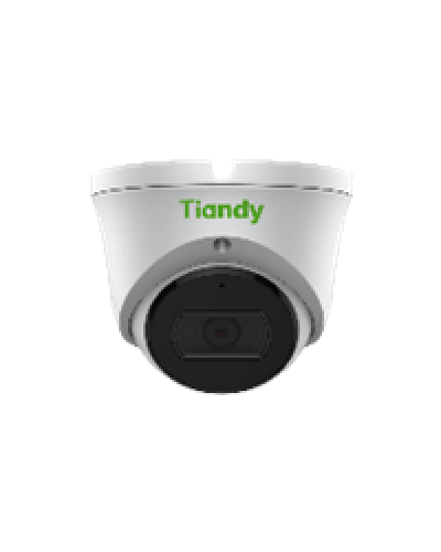 Уличная купольная IP-камера Tiandy TC-C35XS Spec:I3/E/Y/2.8mm/V4.0 в Орле IP-камеры Pintop.ru