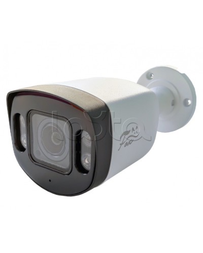 IP-камера видеонаблюдения в стандартном исполнении Fox FX-IPC-C40AP-IR H.265 AI в Орле IP-камеры Pintop.ru